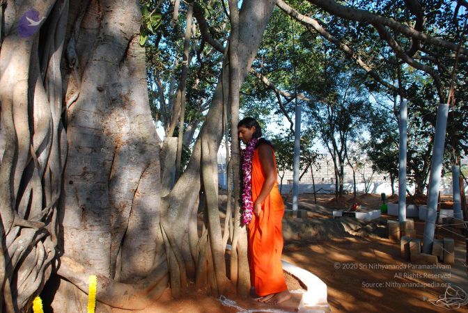 20081231 Photo 1421 1HjsZNIGZQ1IAKRK-gB 0PsxvWGj T4-i.JPG