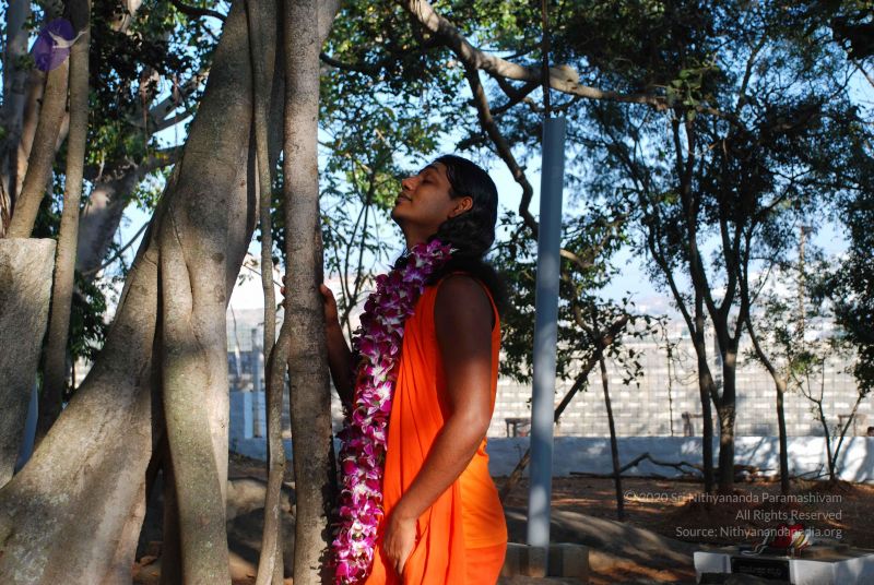 File:20081231 Photo 1425 1IYnvqu7AKiRvZW2wo wibCCO4w3Zsqaa.JPG