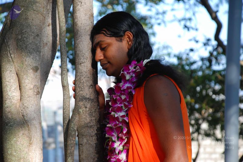 File:20081231 Photo 1426 1cW6eKT4OpNMmCVOK9nVr3Wx2i3VQWRvE.JPG