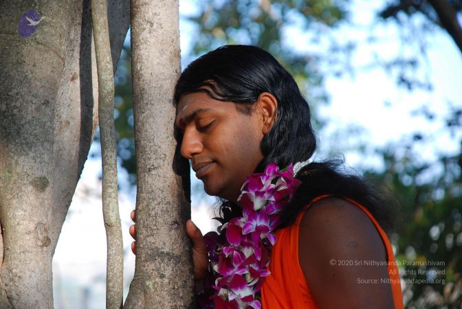 20081231 Photo 1427 1vFI5QrWCfXrJawglwIIll6-eyir4SdhV.JPG