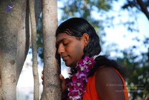 20081231 Photo 1428 12 HzNB88myujZkepDYJc8wznRgl4JvFq.JPG