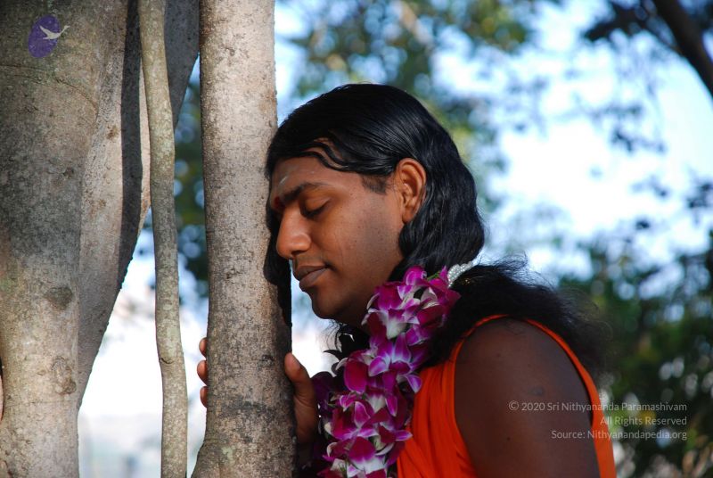 File:20081231 Photo 1428 12 HzNB88myujZkepDYJc8wznRgl4JvFq.JPG