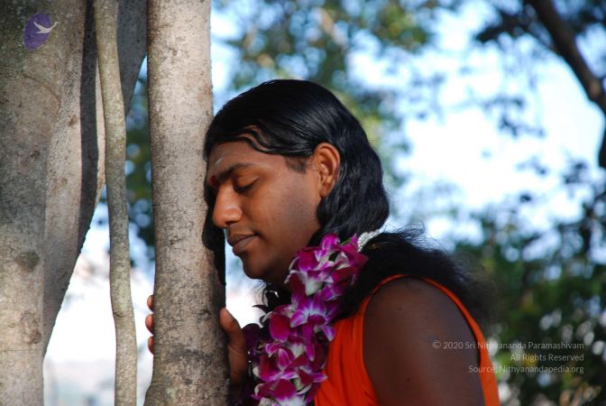 20081231 Photo 1429 1588rR2niNTVRraZaIQryiO3v3RTu5L1w.JPG