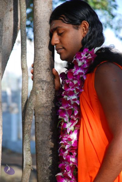 File:20081231 Photo 1433 1AbVk005lCbgstMPP7gcOd6l2kGaKiEQC.JPG