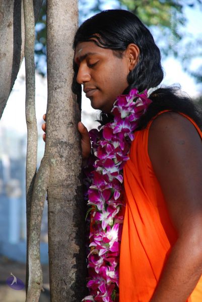 File:20081231 Photo 1434 1tsmMal6B8RuewB-RvBGxtwNjtI5xsc0x.JPG