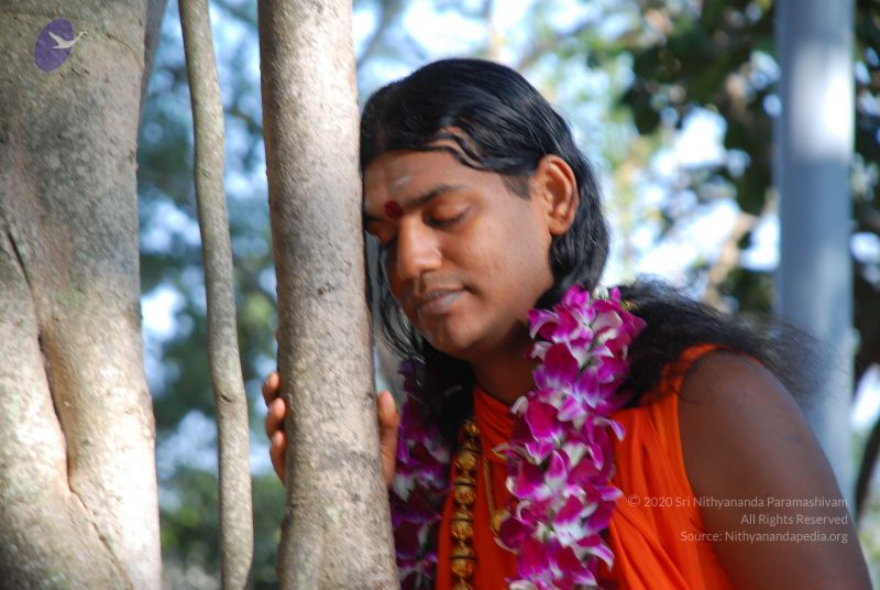 File:20081231 Photo 1440 1nLm2-3c2uVSTGUKGp4 X2yiIMrswanAW.JPG