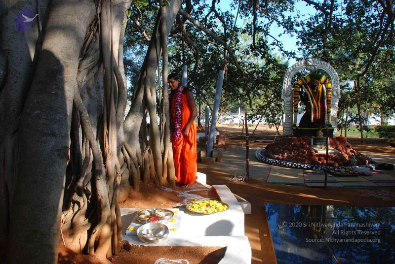 File:20081231 Photo 1444 1ECd02P-5g7KJI9XlzqTQsGm5XixG1mO6.JPG