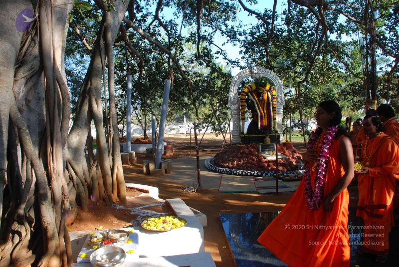 File:20081231 Photo 1446 1-EnqHHmBxUR2uhPF Y2S9Ha6IsfZV NS.JPG