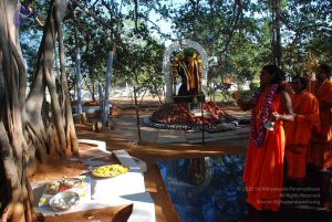 20081231 Photo 1447 1yoRbvw2Vpy6lN8yugE6Cfp4F9gxGEqIs.JPG