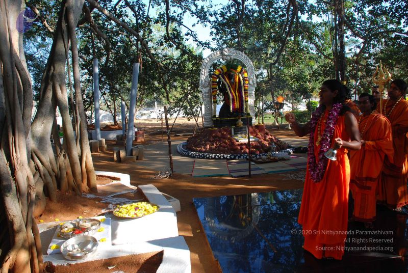 File:20081231 Photo 1447 1yoRbvw2Vpy6lN8yugE6Cfp4F9gxGEqIs.JPG