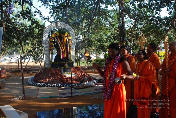 20081231 Photo 1451 1x5uRDwNrUTP4lwjIcw4zGyhlDHcwpCs4.JPG