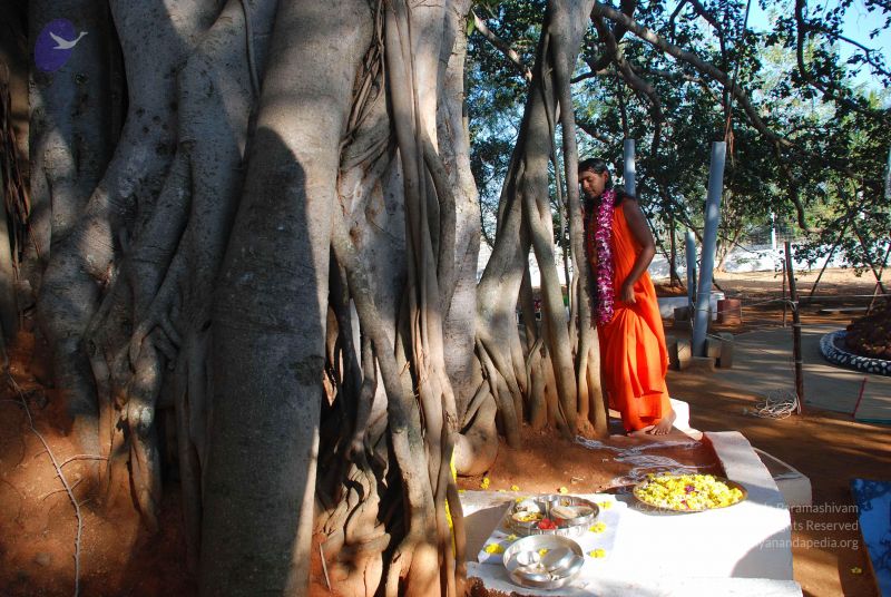 File:20081231 Photo 1453 1G6fkHooJtZc550W9NIPp5OUncXLsM3bC.JPG