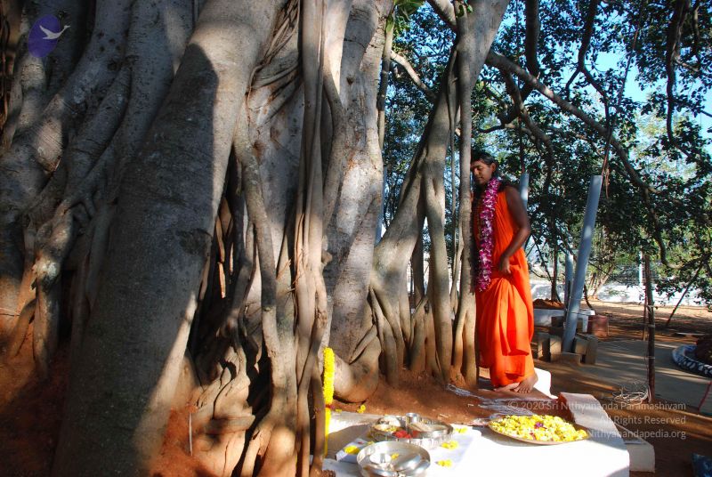 File:20081231 Photo 1454 1jaK44YJ2 5S4MrO5z9eSQ66nk66tsMoK.JPG