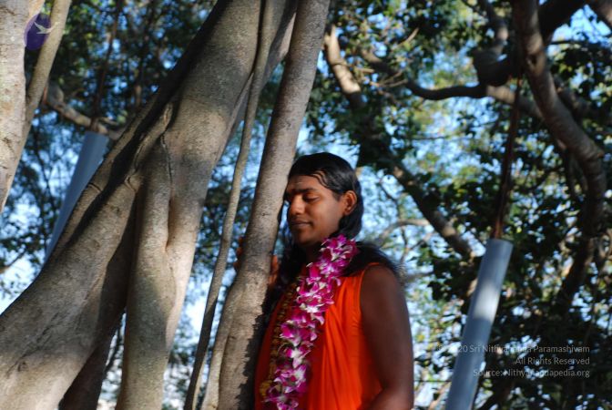 20081231 Photo 1456 1QremD-5VMu7Sil96nY3FjmkzNCKxAFTG.JPG