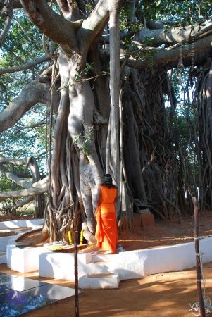 20081231 Photo 1460 16Rv8I0hAlCJ5OEwK eKHAS0DYmw1ymPo.JPG