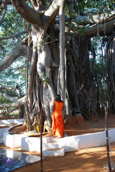 File:20081231 Photo 1460 16Rv8I0hAlCJ5OEwK eKHAS0DYmw1ymPo.JPG