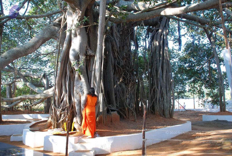 File:20081231 Photo 1461 1AEU-oG35pyVv2oDeLbOfKa3fCCbUuHW-.JPG