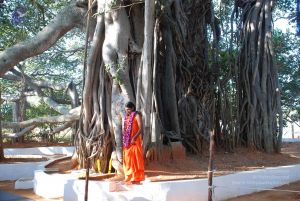 20081231 Photo 1462 13-qQJXXOrIS2jNYeZTY2YwVyWmMsUH5 .JPG