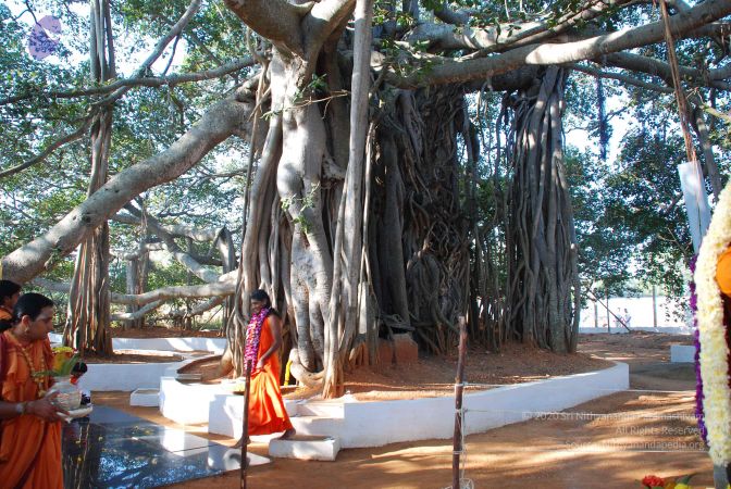 20081231 Photo 1464 11YNC6dCDbPwS75WFXFKiCoh RD9oafOp.JPG