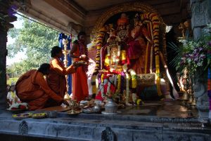 20081231 Photo 1479 1OWJ1kCwCUzXniS lGigWO7 jAE7VjMhj.JPG