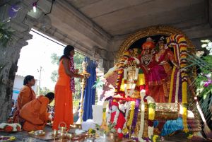 20081231 Photo 1512 1InBkjLN lTqMSYeY14ngx5b 6JXoWR6M.JPG