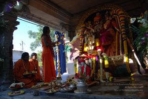 20081231 Photo 1521 1CYJXQG2BRM-98TuSA50FNuW2W31efs3V.JPG