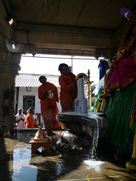 File:20081231 Photo 1650 1OQeWyRFZXZL2COy-d72uZHO4ASFCdmnw.JPG