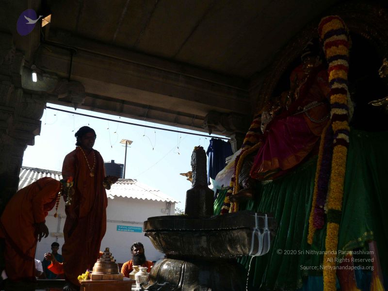 File:20081231 Photo 1670 1N3fedEFkH6BTMJVVr4gv0lHRxQHJmpq2.JPG