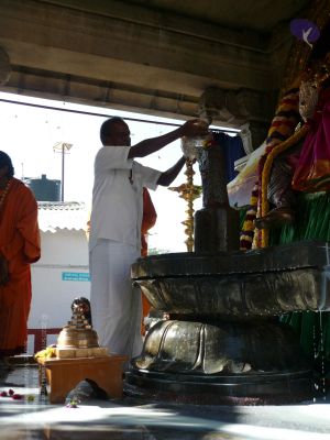 20081231 Photo 1677 15xz0MPdprVPSuG 66xx9OhVkDECaQf6r.JPG