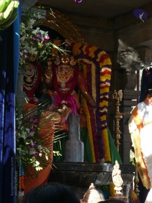 20081231 Photo 1691 1rSQAt66jAX0gSZH1yKEXOqvrowXIcR7W.JPG