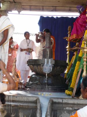 20081231 Photo 1716 1wzVjnvfv-r67NiWRIY5P5MwuMTijmMYB.JPG