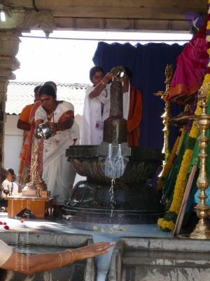 20081231 Photo 1717 1RKyQQ5PmfxBgicMft1m9SxmXEDhYXZ7Q.JPG