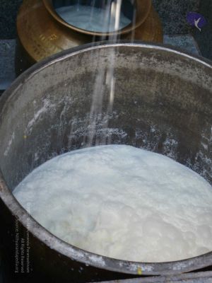 20081231 Photo 1722 1g-pcOfk1GsZ5xiUHhttn4fVzbpp1tNQS.JPG