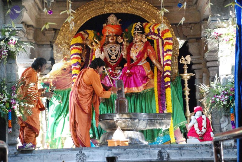 File:20081231 Photo 1750 1euu9kAXr995tUhBL3JSpG1jtWRVKe-n .JPG