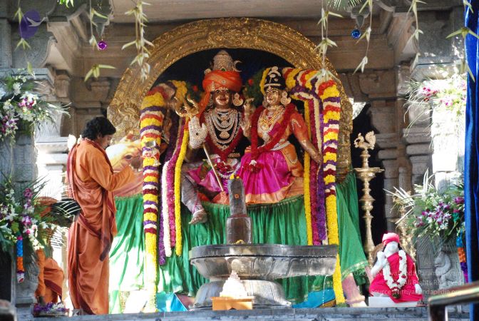 20081231 Photo 1767 1RX0R1BJV BjjsRIOIYmxEwfavO4cTa4W.JPG