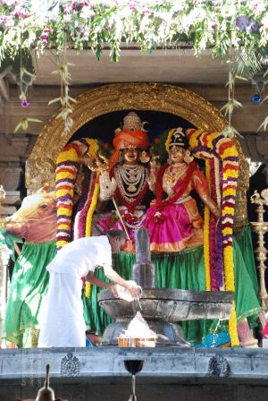 20081231 Photo 1779 13AAcpxCFzRGDEb4XSAFNRhslg-WJ9T-Y.JPG