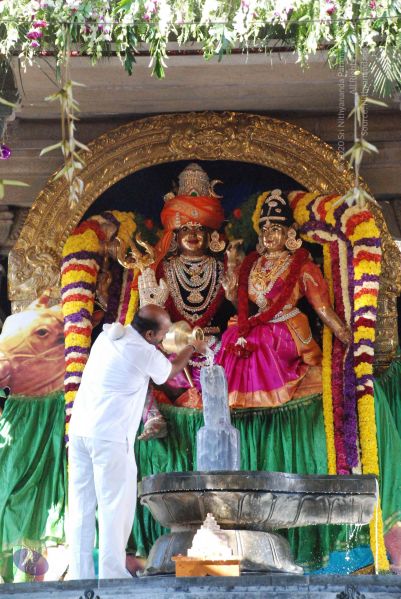 File:20081231 Photo 1784 1hCmzWoDAUy5PWejsuq91Uzj0fGc-9RD .JPG