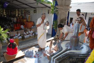 20081231 Photo 1880 1vHmCws62294K8PnheDDwT4Va31l7nQTf.JPG