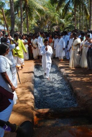 20081231 Photo 2089 1IEf5JCJlLjK vOM5pjDzk2mTM tD9uHG.JPG