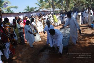 20081231 Photo 2155 1ePxWkhwdXTs-g2YCssHz9EykpTZ86VIS.JPG