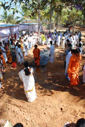 20081231 Photo 2188 1SD5LZwxNl oc9Phxnx2jPuQ3w1JM2qc3.JPG