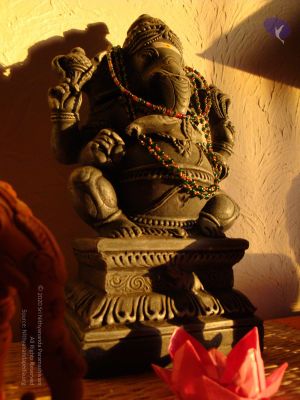 20081231 Photo 2381 1MK d051gip84vFtXnkb41pITtHComPoI.JPG