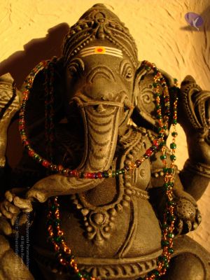 20081231 Photo 2383 1BrYFi7e7NtrBRb-1wm4mHaC-aV0t6m6N.JPG