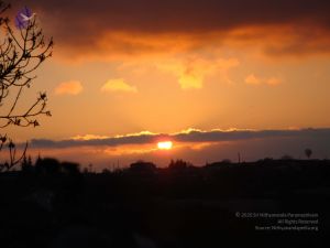 20081231 Photo 2388 1G1jtTCfcSClgWBWu9pMG8Td4K Jp0t7L.JPG