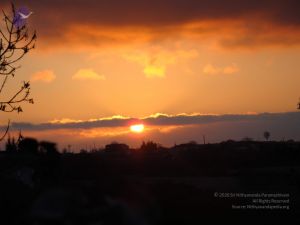 20081231 Photo 2389 1OVCulxiVposWCR5VSulSwr8 wYN-nS5a.JPG