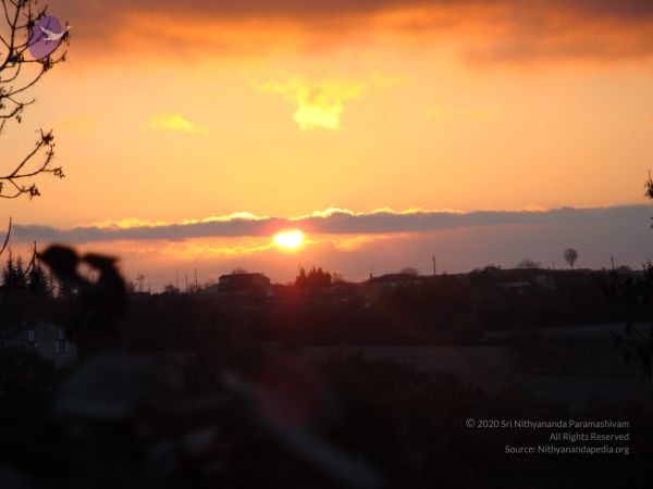 20081231 Photo 2390 1l4e0KCsg8XR8cf95vLZ1eZ 6xqs0jidD.JPG