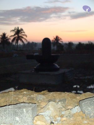 20081231 Photo 2394 1 rzmAaSVtrlZsgMYvqo2hMGKikFXxwi8.JPG