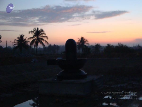 20081231 Photo 2395 1o5oi2kMLmnJZK4eio-ya3X8sCiw78PQN.JPG