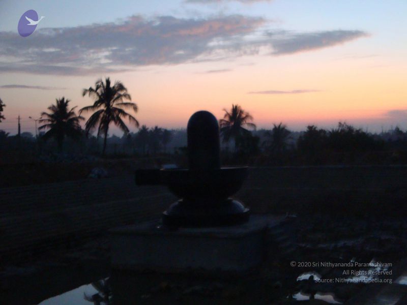 File:20081231 Photo 2395 1o5oi2kMLmnJZK4eio-ya3X8sCiw78PQN.JPG