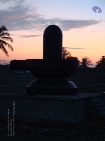 20081231 Photo 2397 1cdXiV1tanq68sDTefBaW5s~44SvFZkt.JPG